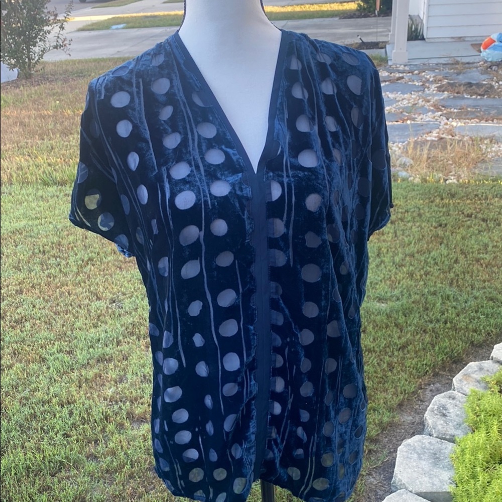Cabi Navy Blue Velvet Polka Dot Blouse
